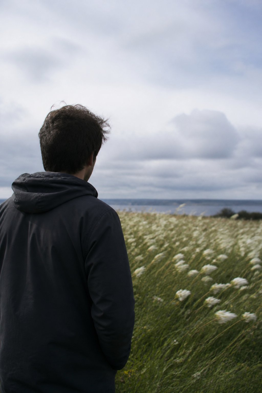 Illustration : un homme de dos face &agrave; un champ de fleurs blanches emport&eacute;es par le vent.
